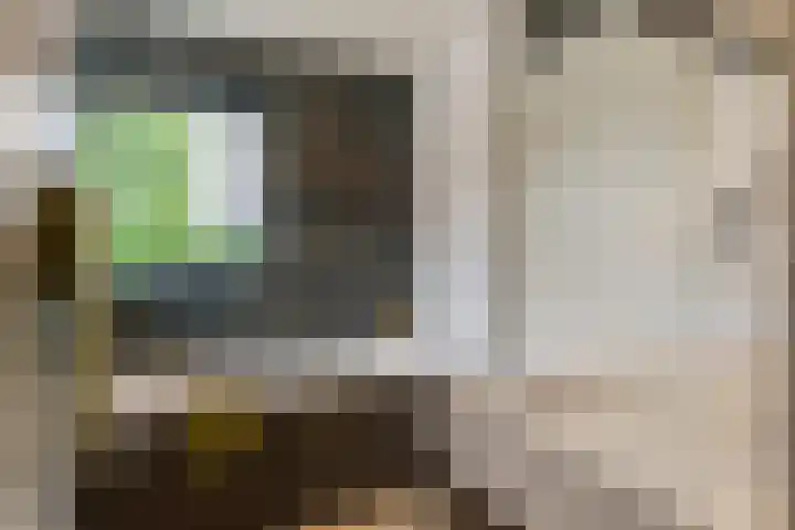 Roodhekkenpas 79 Druten thumbnail 28