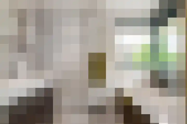 Roodhekkenpas 79 Druten thumbnail 29