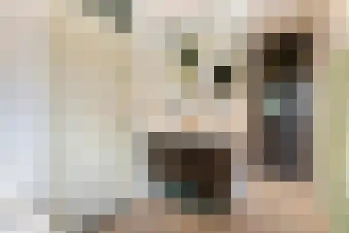 Roodhekkenpas 79 Druten thumbnail 30