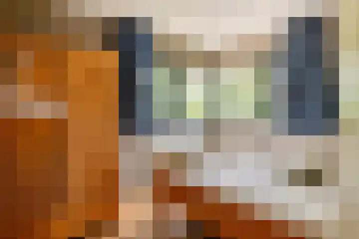 Roodhekkenpas 79 Druten thumbnail 32