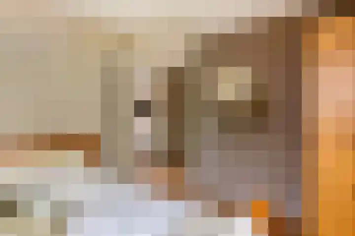 Roodhekkenpas 79 Druten thumbnail 33