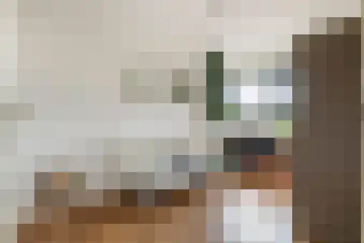 Roodhekkenpas 79 Druten thumbnail 34