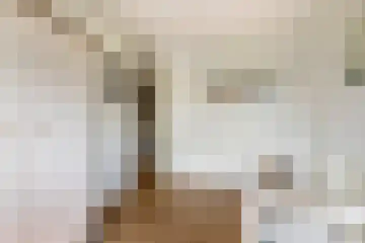 Roodhekkenpas 79 Druten thumbnail 35