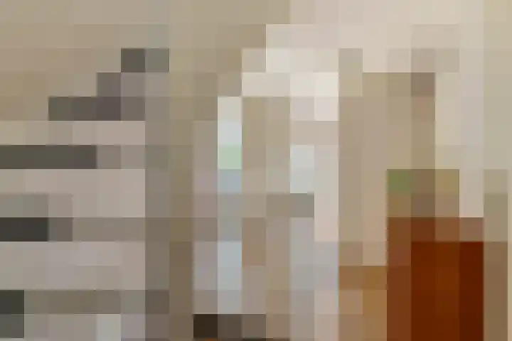 Roodhekkenpas 79 Druten thumbnail 36