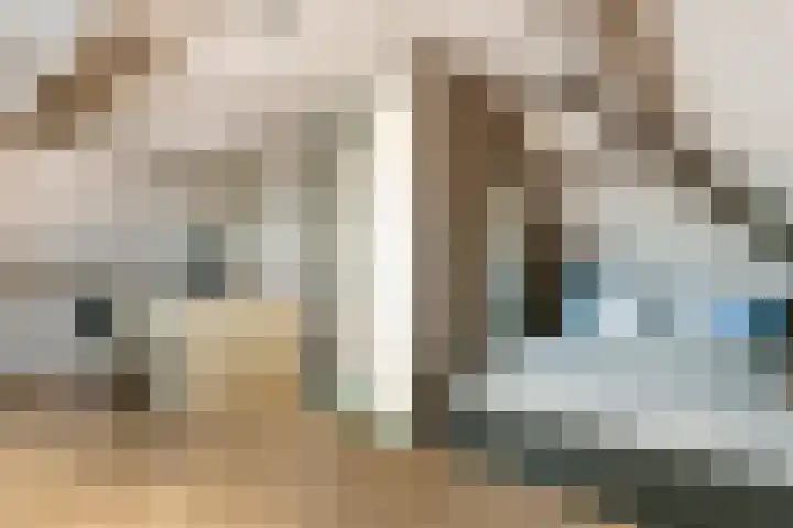 Roodhekkenpas 79 Druten thumbnail 37