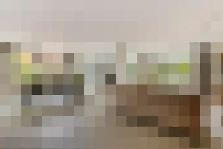 Roodhekkenpas 79 Druten thumbnail 4