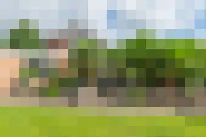 Roodhekkenpas 79 Druten thumbnail 40