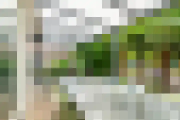 Roodhekkenpas 79 Druten thumbnail 41