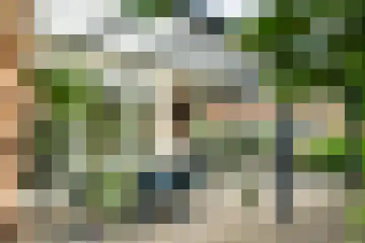 Roodhekkenpas 79 Druten thumbnail 42