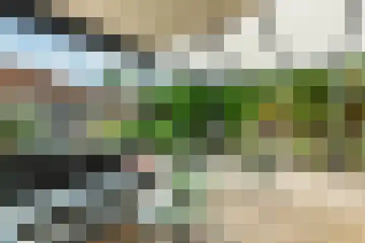 Roodhekkenpas 79 Druten thumbnail 45