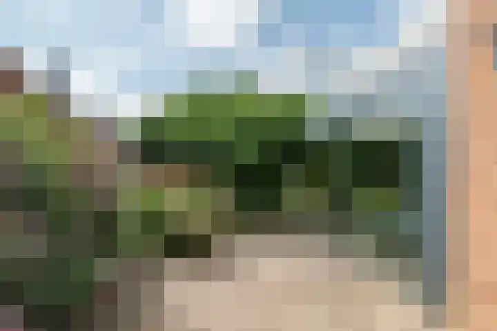 Roodhekkenpas 79 Druten thumbnail 46