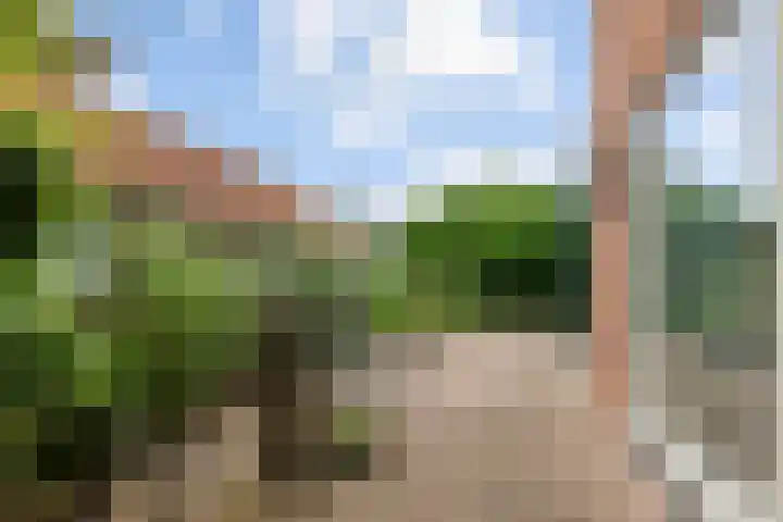Roodhekkenpas 79 Druten thumbnail 47