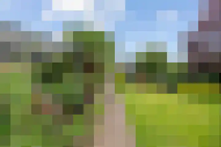 Roodhekkenpas 79 Druten thumbnail 48