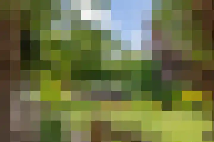 Roodhekkenpas 79 Druten thumbnail 49