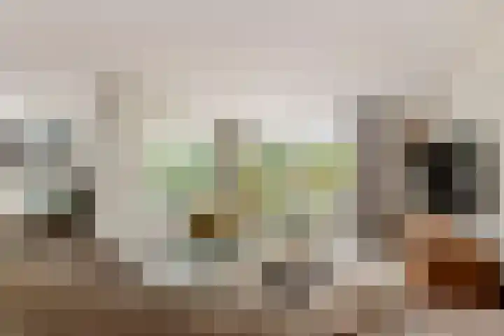 Roodhekkenpas 79 Druten thumbnail 5