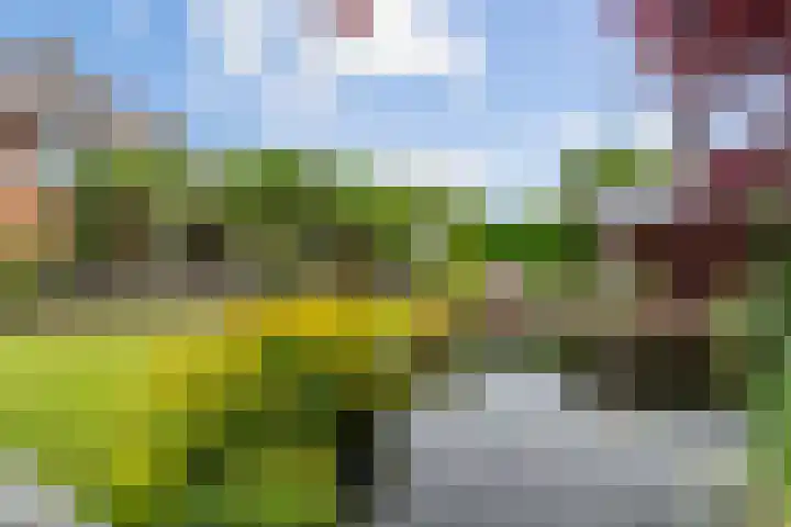 Roodhekkenpas 79 Druten thumbnail 50