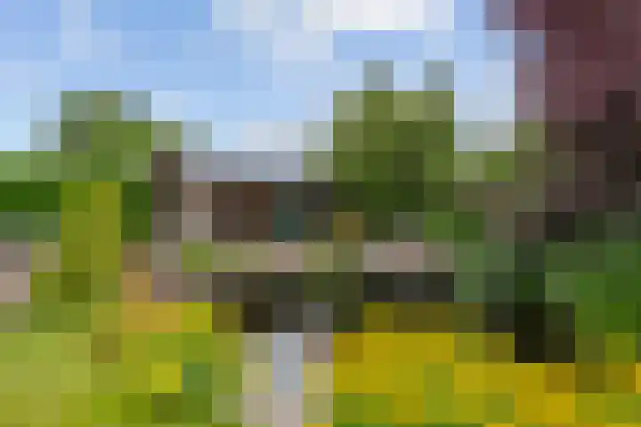Roodhekkenpas 79 Druten thumbnail 51
