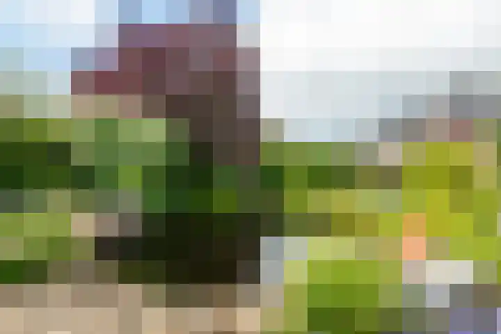Roodhekkenpas 79 Druten thumbnail 52