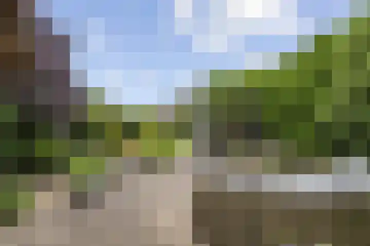 Roodhekkenpas 79 Druten thumbnail 54