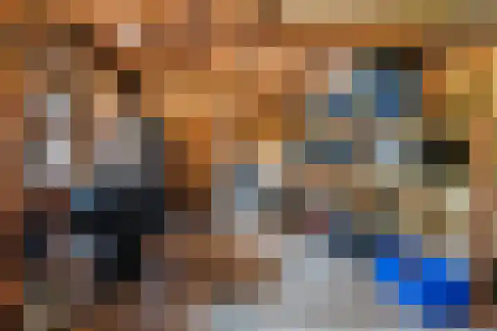 Roodhekkenpas 79 Druten thumbnail 56