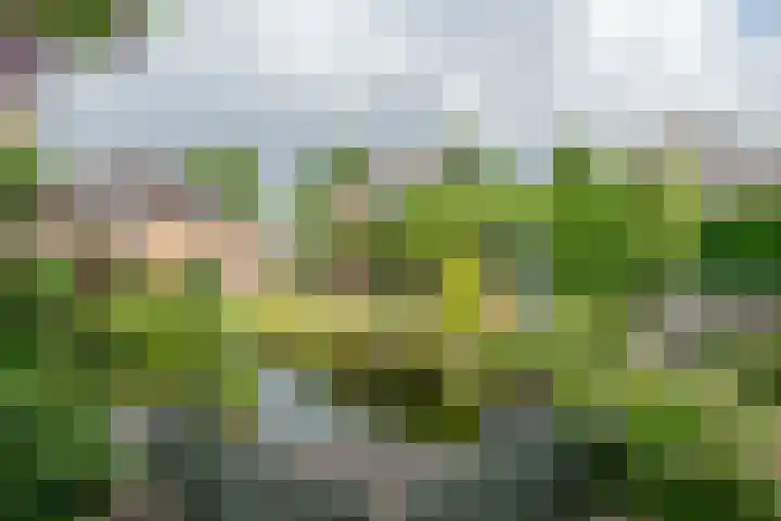 Roodhekkenpas 79 Druten thumbnail 57