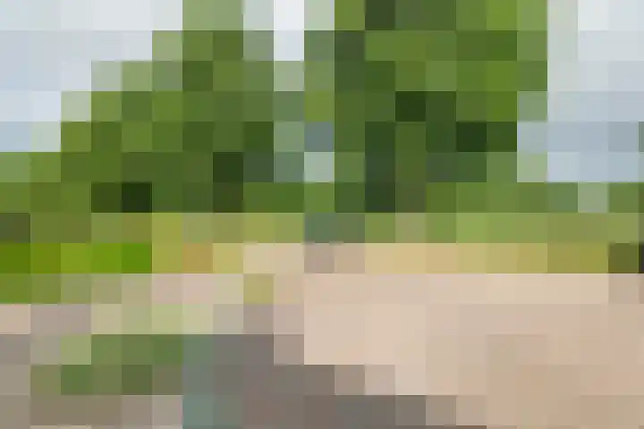 Roodhekkenpas 79 Druten thumbnail 58