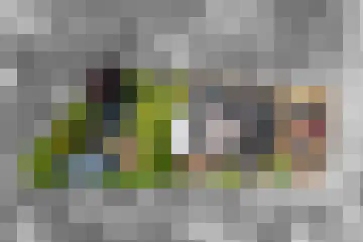 Roodhekkenpas 79 Druten thumbnail 60