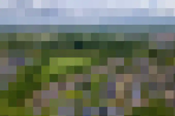Roodhekkenpas 79 Druten thumbnail 62