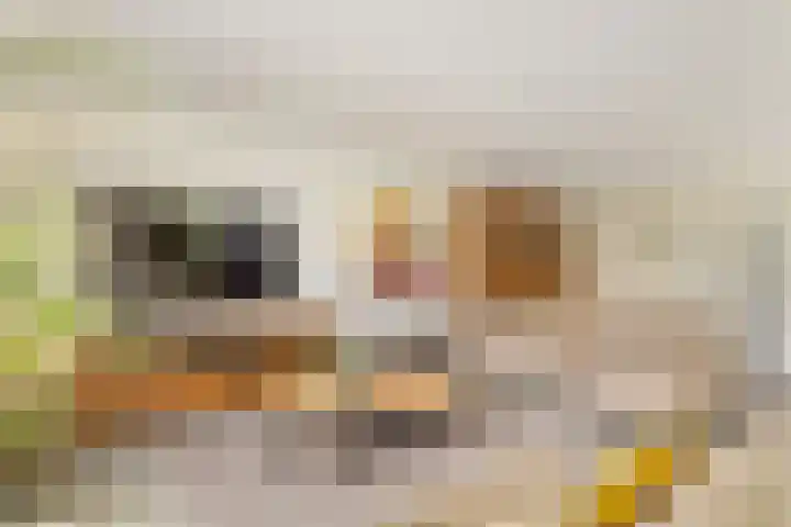 Roodhekkenpas 79 Druten thumbnail 7