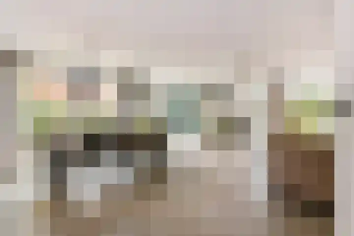 Roodhekkenpas 79 Druten thumbnail 8