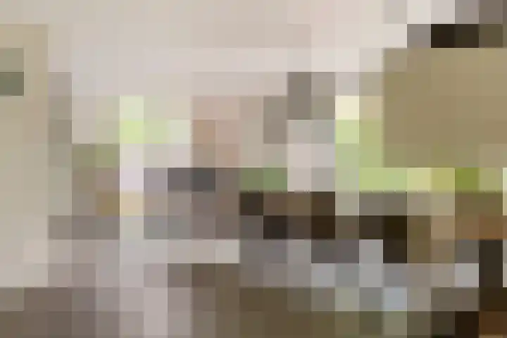 Roodhekkenpas 79 Druten thumbnail 9