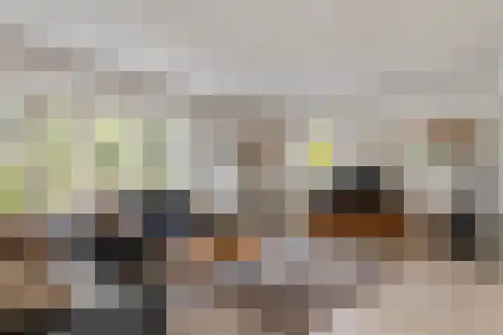 Roodhekkenpas 89 Druten thumbnail 10