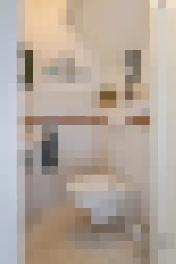 Roodhekkenpas 89 Druten thumbnail 13
