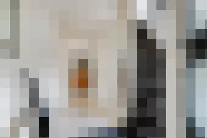 Roodhekkenpas 89 Druten thumbnail 14