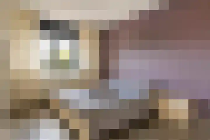 Roodhekkenpas 89 Druten thumbnail 18