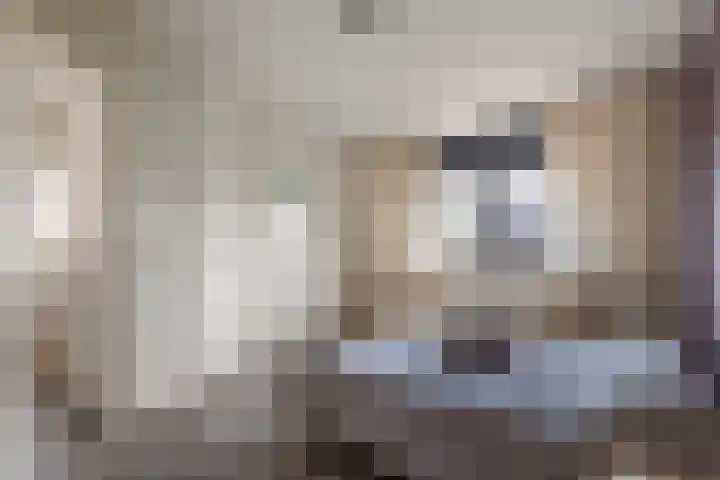 Roodhekkenpas 89 Druten thumbnail 19