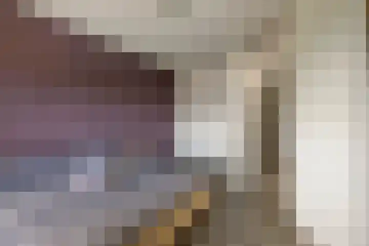 Roodhekkenpas 89 Druten thumbnail 20
