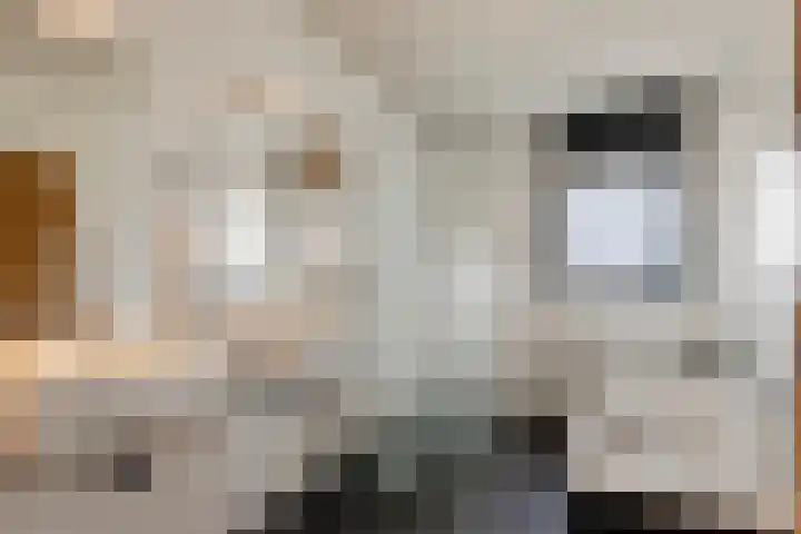 Roodhekkenpas 89 Druten thumbnail 21