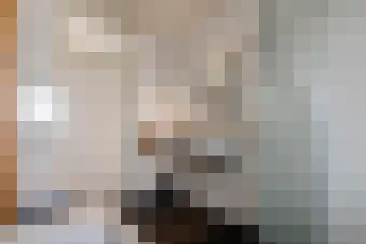 Roodhekkenpas 89 Druten thumbnail 22