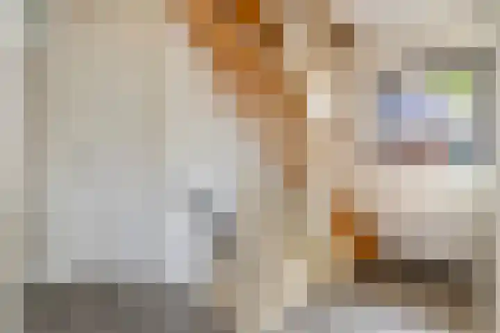 Roodhekkenpas 89 Druten thumbnail 23