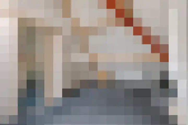 Roodhekkenpas 89 Druten thumbnail 25
