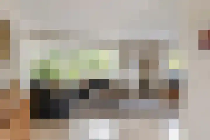 Roodhekkenpas 89 Druten foto 3