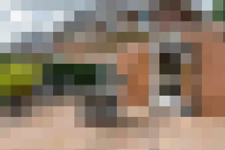 Roodhekkenpas 89 Druten thumbnail 30