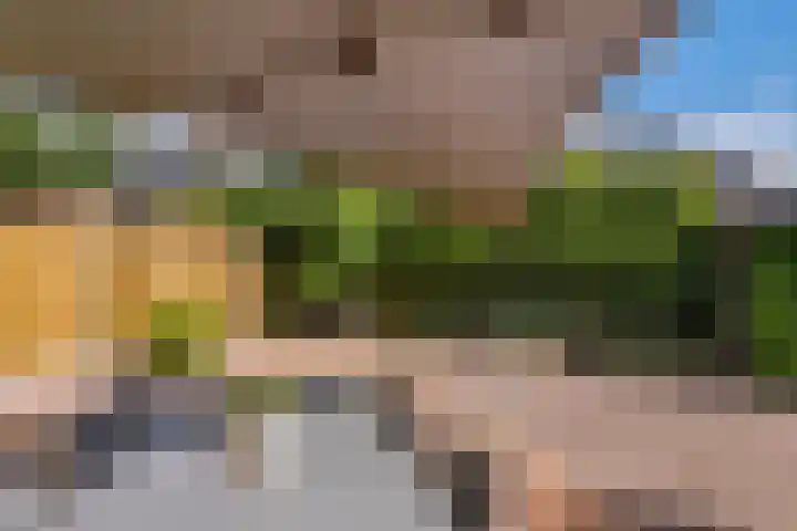 Roodhekkenpas 89 Druten thumbnail 31