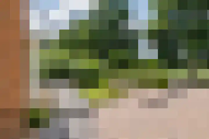 Roodhekkenpas 89 Druten thumbnail 33