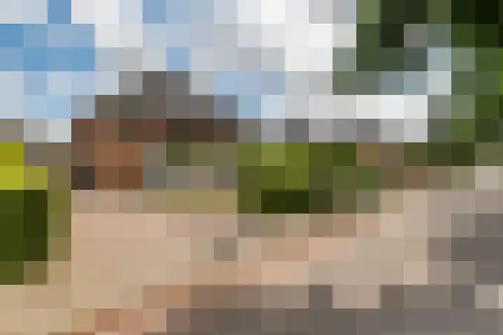 Roodhekkenpas 89 Druten thumbnail 34