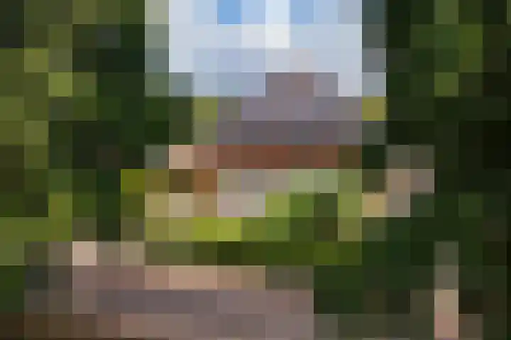 Roodhekkenpas 89 Druten thumbnail 35