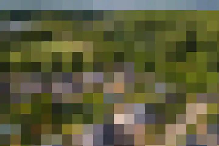 Roodhekkenpas 89 Druten thumbnail 37