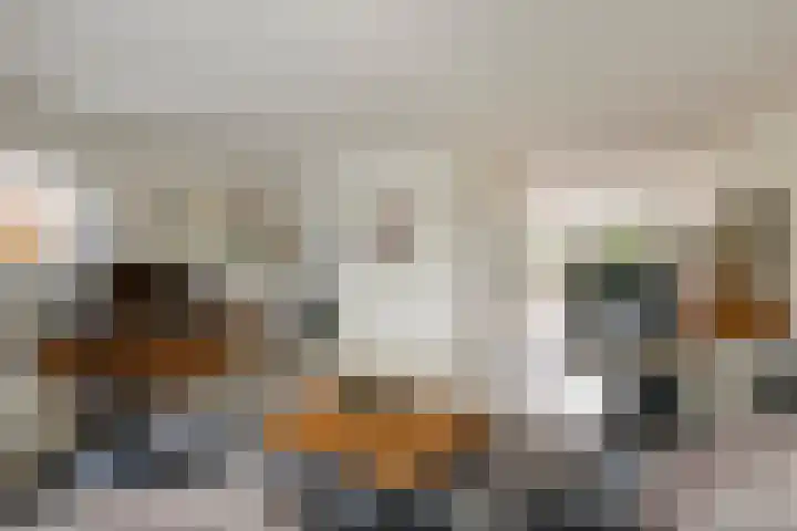 Roodhekkenpas 89 Druten thumbnail 4