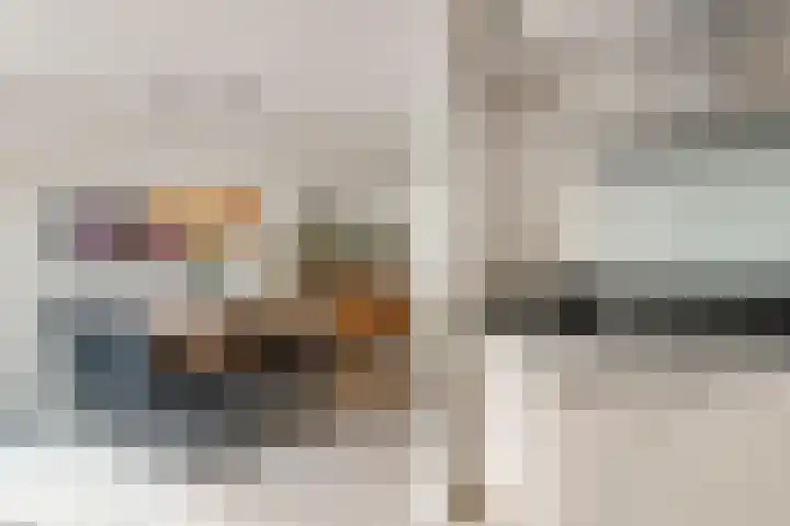 Roodhekkenpas 89 Druten thumbnail 7